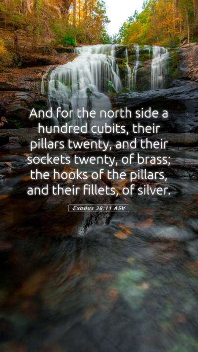 Picture 05 - Exodus 38:11 ASV Mobile Phone Wallpaper - And for the north side a hundred cubits, their - Mobile Bible Verse Wallpaper