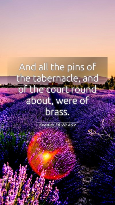 Picture 05 - Exodus 38:20 ASV Mobile Phone Wallpaper - And all the pins of the tabernacle, and of the - Mobile Bible Verse Wallpaper