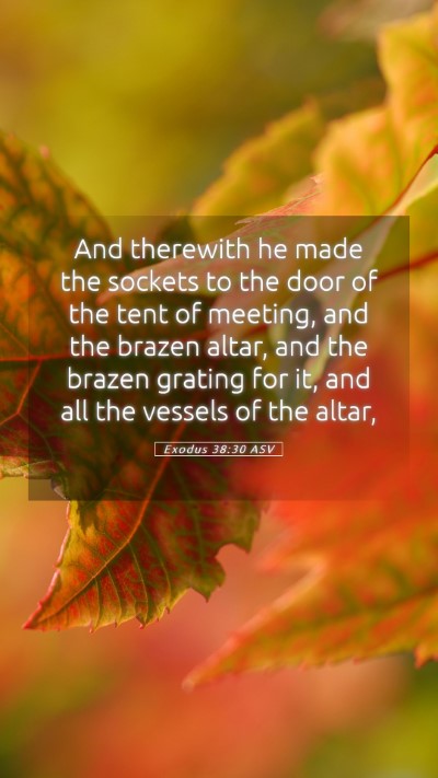 Picture 05 - Exodus 38:30 ASV Mobile Phone Wallpaper - And therewith he made the sockets to the door of - Mobile Bible Verse Wallpaper