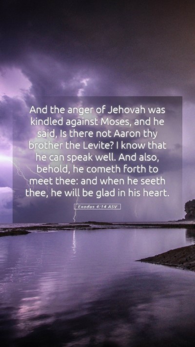Picture 05 - Exodus 4:14 ASV Mobile Phone Wallpaper - And the anger of Jehovah was kindled against - Mobile Bible Verse Wallpaper