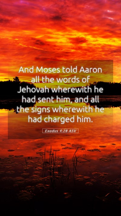 Picture 05 - Exodus 4:28 ASV Mobile Phone Wallpaper - And Moses told Aaron all the words of Jehovah - Mobile Bible Verse Wallpaper