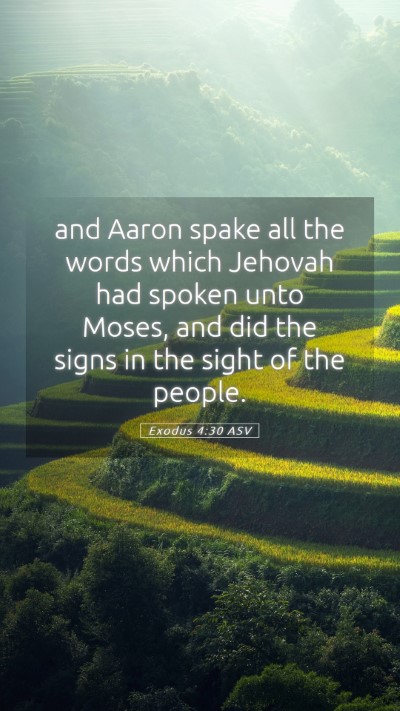 Picture 05 - Exodus 4:30 ASV Mobile Phone Wallpaper - and Aaron spake all the words which Jehovah had - Mobile Bible Verse Wallpaper