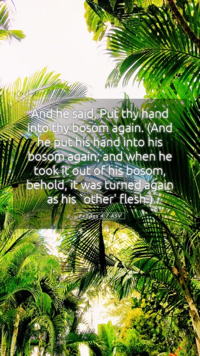 Picture 05 - Exodus 4:7 ASV Mobile Phone Wallpaper - And he said, Put thy hand into thy bosom again. - Mobile Bible Verse Wallpaper