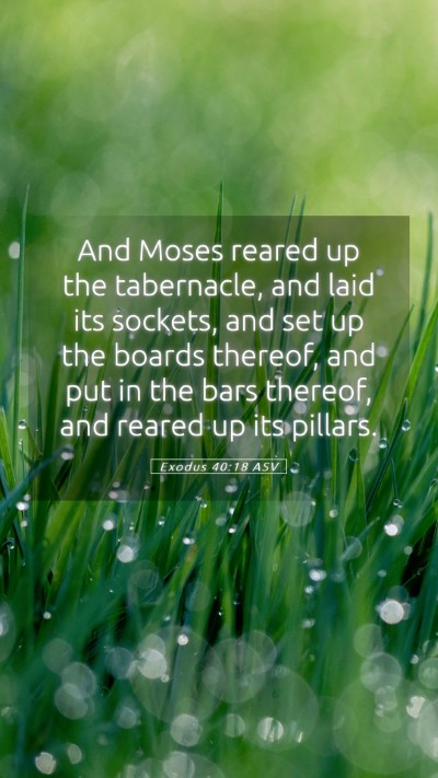 Picture 05 - Exodus 40:18 ASV Mobile Phone Wallpaper - And Moses reared up the tabernacle, and laid its - Mobile Bible Verse Wallpaper