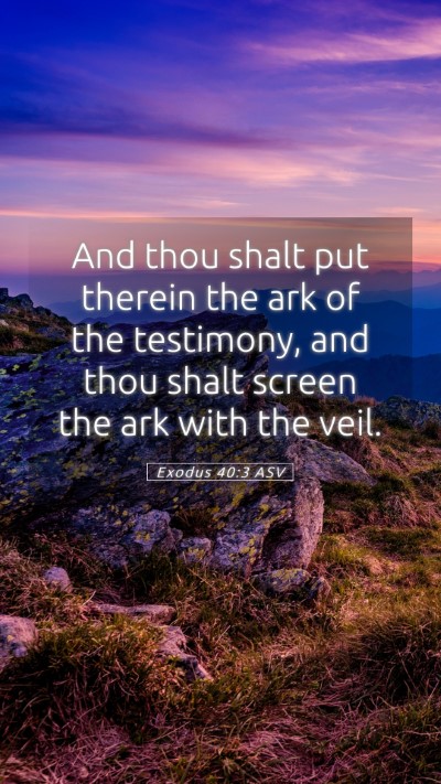 Picture 05 - Exodus 40:3 ASV Mobile Phone Wallpaper - And thou shalt put therein the ark of the - Mobile Bible Verse Wallpaper