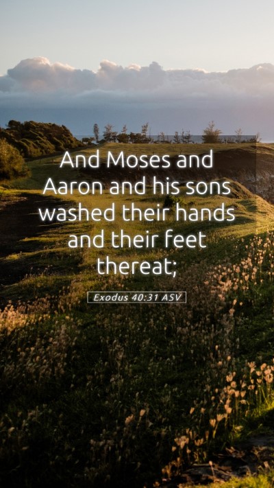 Picture 05 - Exodus 40:31 ASV Mobile Phone Wallpaper - And Moses and Aaron and his sons washed their - Mobile Bible Verse Wallpaper