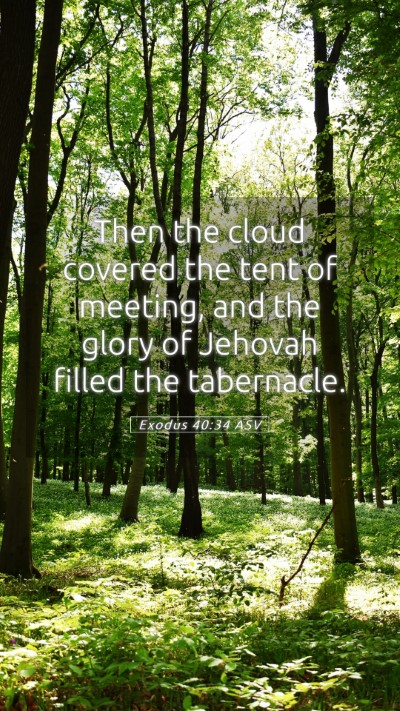 Picture 05 - Exodus 40:34 ASV Mobile Phone Wallpaper - Then the cloud covered the tent of meeting, and - Mobile Bible Verse Wallpaper
