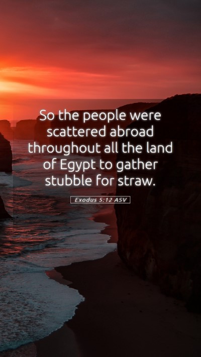 Picture 05 - Exodus 5:12 ASV Mobile Phone Wallpaper - So the people were scattered abroad throughout - Mobile Bible Verse Wallpaper