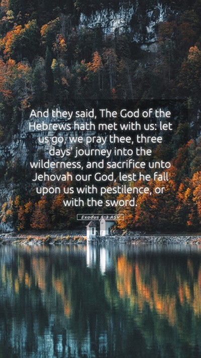 Picture 05 - Exodus 5:3 ASV Mobile Phone Wallpaper - And they said, The God of the Hebrews hath met - Mobile Bible Verse Wallpaper