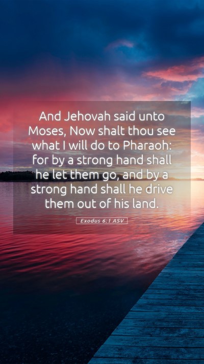 Picture 05 - Exodus 6:1 ASV Mobile Phone Wallpaper - And Jehovah said unto Moses, Now shalt thou see - Mobile Bible Verse Wallpaper