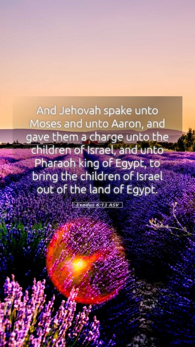 Picture 05 - Exodus 6:13 ASV Mobile Phone Wallpaper - And Jehovah spake unto Moses and unto Aaron, and - Mobile Bible Verse Wallpaper