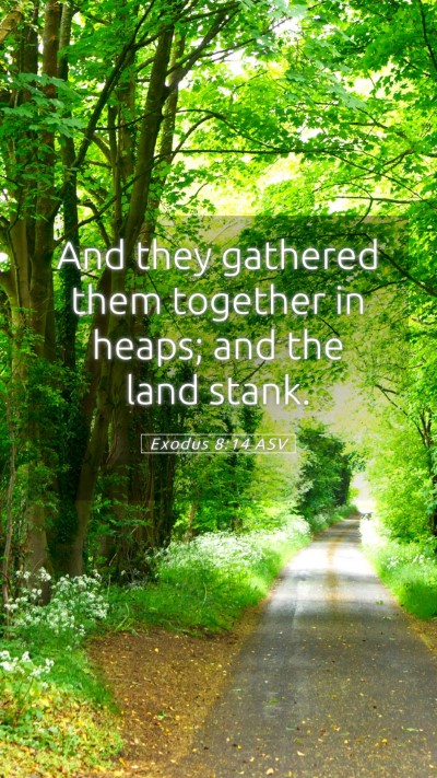 Picture 05 - Exodus 8:14 ASV Mobile Phone Wallpaper - And they gathered them together in heaps; and the - Mobile Bible Verse Wallpaper