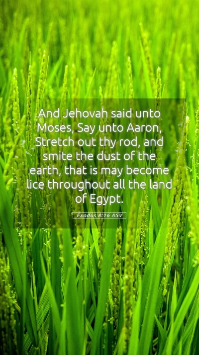 Picture 05 - Exodus 8:16 ASV Mobile Phone Wallpaper - And Jehovah said unto Moses, Say unto Aaron, - Mobile Bible Verse Wallpaper