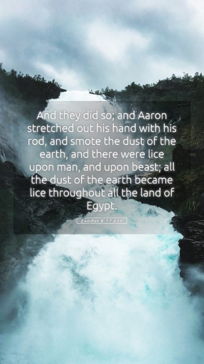 Picture 05 - Exodus 8:17 ASV Mobile Phone Wallpaper - And they did so; and Aaron stretched out his hand - Mobile Bible Verse Wallpaper