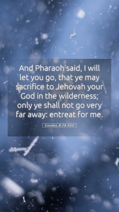 Picture 05 - Exodus 8:28 ASV Mobile Phone Wallpaper - And Pharaoh said, I will let you go, that ye may - Mobile Bible Verse Wallpaper