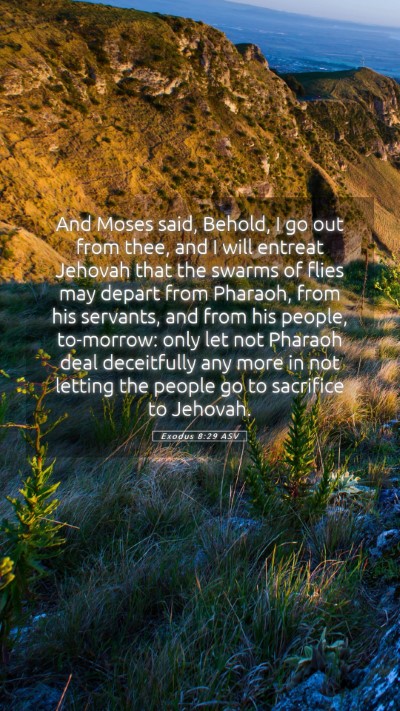 Picture 05 - Exodus 8:29 ASV Mobile Phone Wallpaper - And Moses said, Behold, I go out from thee, and I - Mobile Bible Verse Wallpaper