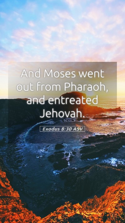 Picture 05 - Exodus 8:30 ASV Mobile Phone Wallpaper - And Moses went out from Pharaoh, and entreated - Mobile Bible Verse Wallpaper