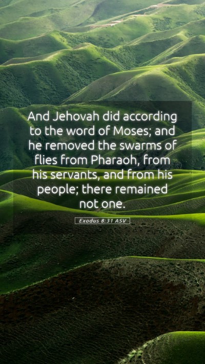 Picture 05 - Exodus 8:31 ASV Mobile Phone Wallpaper - And Jehovah did according to the word of Moses; - Mobile Bible Verse Wallpaper