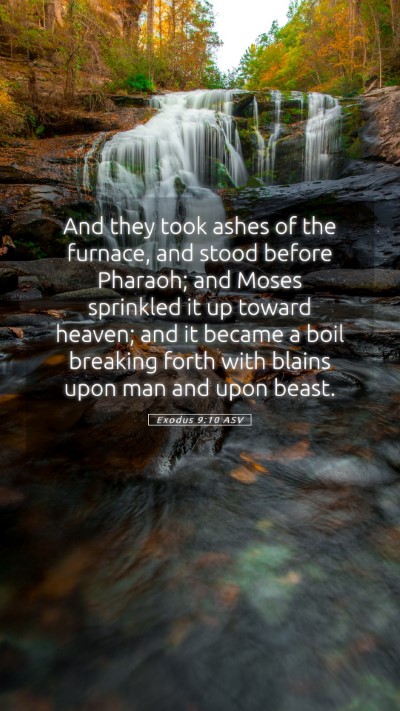 Picture 05 - Exodus 9:10 ASV Mobile Phone Wallpaper - And they took ashes of the furnace, and stood - Mobile Bible Verse Wallpaper