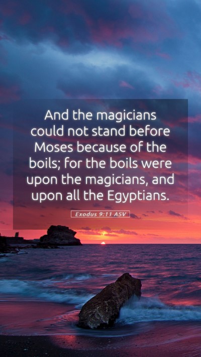 Picture 05 - Exodus 9:11 ASV Mobile Phone Wallpaper - And the magicians could not stand before Moses - Mobile Bible Verse Wallpaper