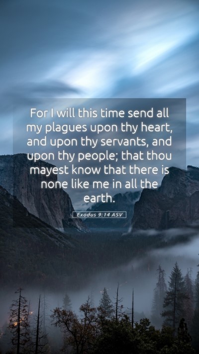 Picture 05 - Exodus 9:14 ASV Mobile Phone Wallpaper - For I will this time send all my plagues upon thy - Mobile Bible Verse Wallpaper