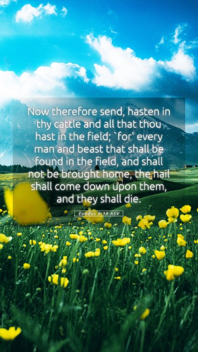 Picture 05 - Exodus 9:19 ASV Mobile Phone Wallpaper - Now therefore send, hasten in thy cattle and all - Mobile Bible Verse Wallpaper