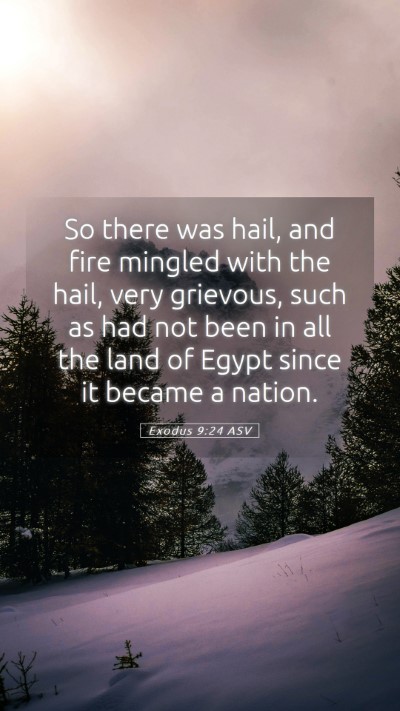 Picture 05 - Exodus 9:24 ASV Mobile Phone Wallpaper - So there was hail, and fire mingled with the - Mobile Bible Verse Wallpaper