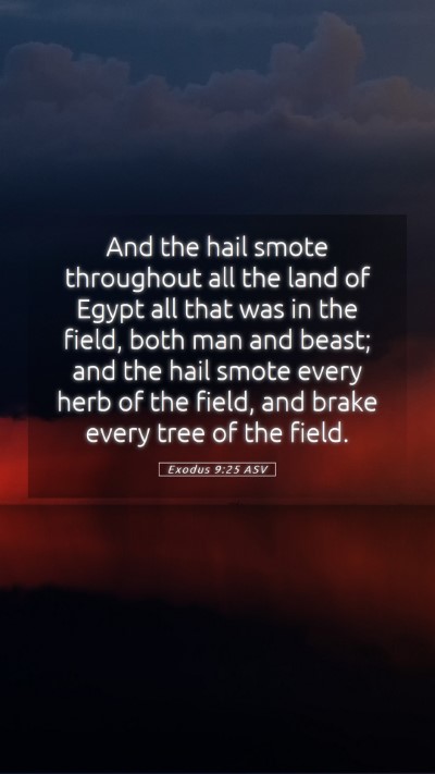 Picture 05 - Exodus 9:25 ASV Mobile Phone Wallpaper - And the hail smote throughout all the land of - Mobile Bible Verse Wallpaper