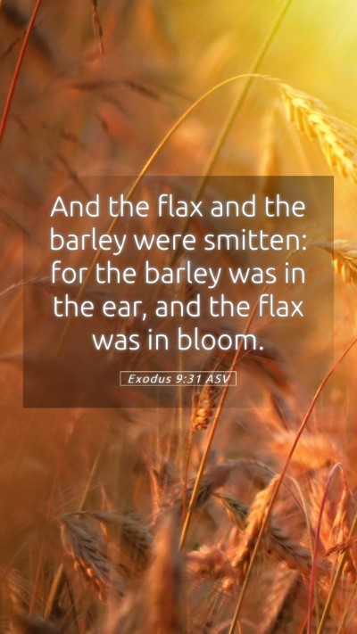 Picture 05 - Exodus 9:31 ASV Mobile Phone Wallpaper - And the flax and the barley were smitten: for the - Mobile Bible Verse Wallpaper