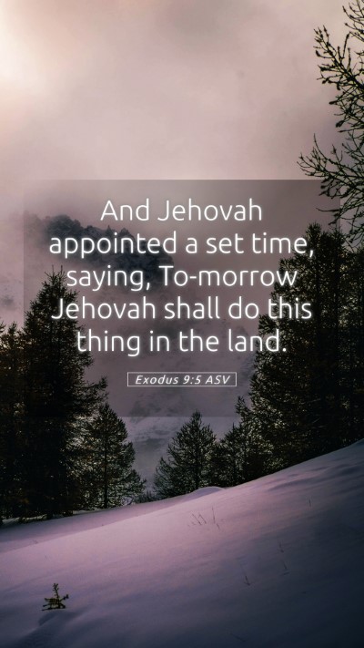 Picture 05 - Exodus 9:5 ASV Mobile Phone Wallpaper - And Jehovah appointed a set time, saying, - Mobile Bible Verse Wallpaper