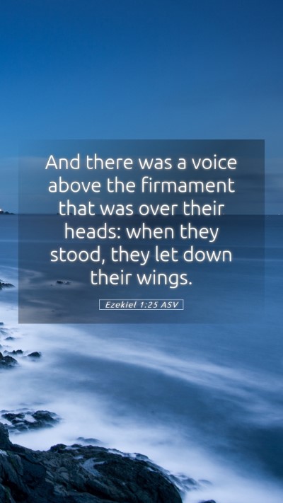 Picture 05 - Ezekiel 1:25 ASV Mobile Phone Wallpaper - And there was a voice above the firmament that - Mobile Bible Verse Wallpaper