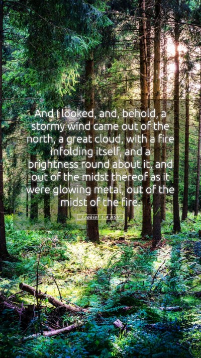 Picture 05 - Ezekiel 1:4 ASV Mobile Phone Wallpaper - And I looked, and, behold, a stormy wind came out - Mobile Bible Verse Wallpaper