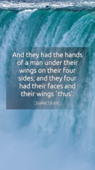 Picture 05 - Ezekiel 1:8 ASV Mobile Phone Wallpaper - And they had the hands of a man under their wings - Mobile Bible Verse Wallpaper