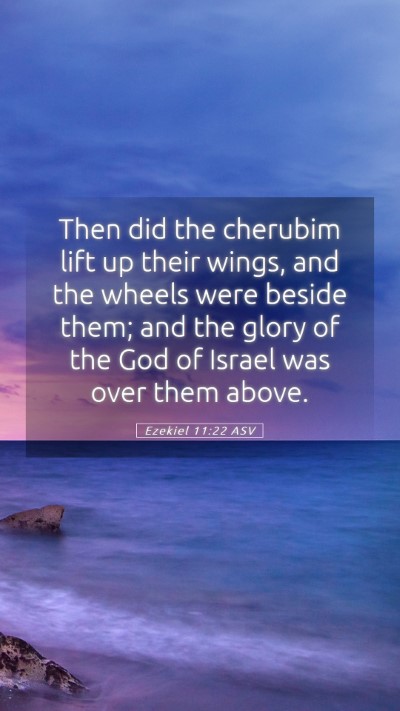 Picture 05 - Ezekiel 11:22 ASV Mobile Phone Wallpaper - Then did the cherubim lift up their wings, and - Mobile Bible Verse Wallpaper