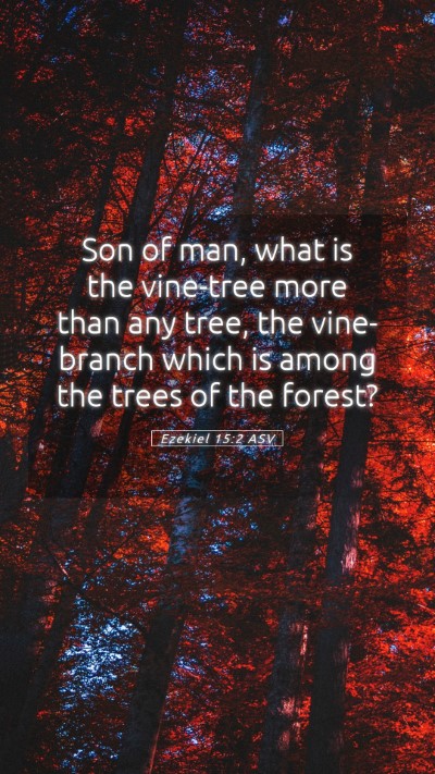 Picture 05 - Ezekiel 15:2 ASV Mobile Phone Wallpaper - Son of man, what is the vine-tree more than any - Mobile Bible Verse Wallpaper