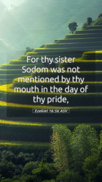 Picture 05 - Ezekiel 16:56 ASV Mobile Phone Wallpaper - For thy sister Sodom was not mentioned by thy - Mobile Bible Verse Wallpaper