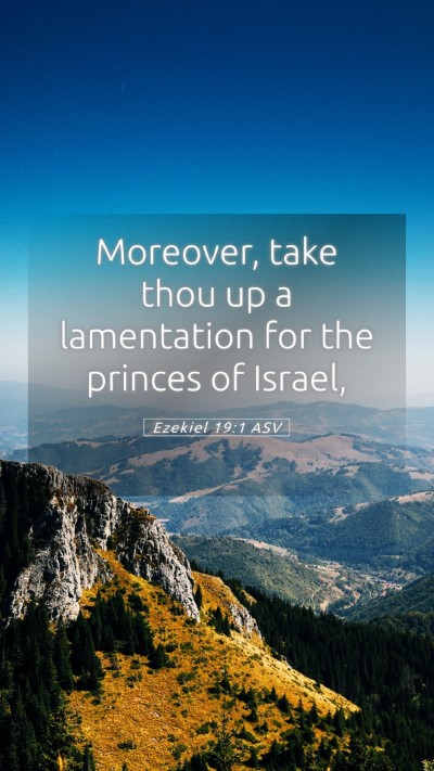 Picture 05 - Ezekiel 19:1 ASV Mobile Phone Wallpaper - Moreover, take thou up a lamentation for the - Mobile Bible Verse Wallpaper