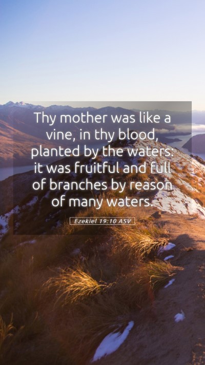 Picture 05 - Ezekiel 19:10 ASV Mobile Phone Wallpaper - Thy mother was like a vine, in thy blood, planted - Mobile Bible Verse Wallpaper