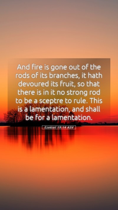 Picture 05 - Ezekiel 19:14 ASV Mobile Phone Wallpaper - And fire is gone out of the rods of its branches, - Mobile Bible Verse Wallpaper
