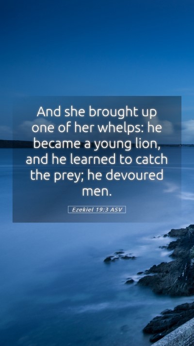 Picture 05 - Ezekiel 19:3 ASV Mobile Phone Wallpaper - And she brought up one of her whelps: he became a - Mobile Bible Verse Wallpaper