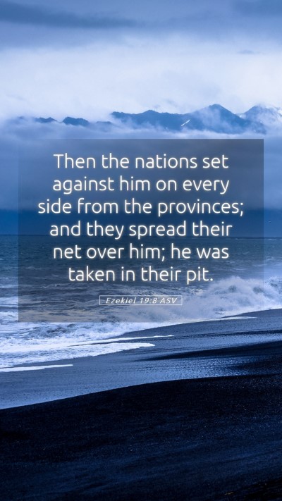 Picture 05 - Ezekiel 19:8 ASV Mobile Phone Wallpaper - Then the nations set against him on every side - Mobile Bible Verse Wallpaper