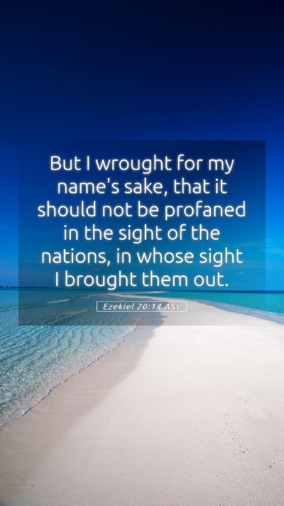Picture 05 - Ezekiel 20:14 ASV Mobile Phone Wallpaper - But I wrought for my name's sake, that it should - Mobile Bible Verse Wallpaper