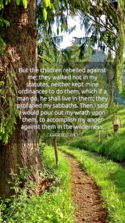 Picture 05 - Ezekiel 20:21 ASV Mobile Phone Wallpaper - But the children rebelled against me; they walked - Mobile Bible Verse Wallpaper