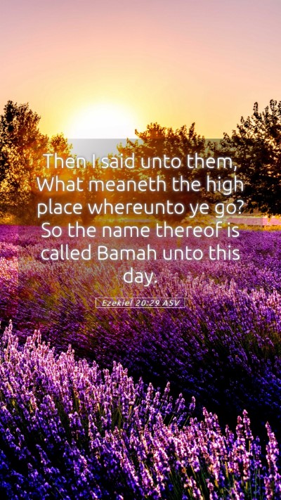 Picture 05 - Ezekiel 20:29 ASV Mobile Phone Wallpaper - Then I said unto them, What meaneth the high - Mobile Bible Verse Wallpaper