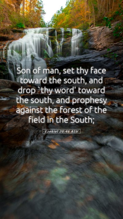 Picture 05 - Ezekiel 20:46 ASV Mobile Phone Wallpaper - Son of man, set thy face toward the south, and - Mobile Bible Verse Wallpaper