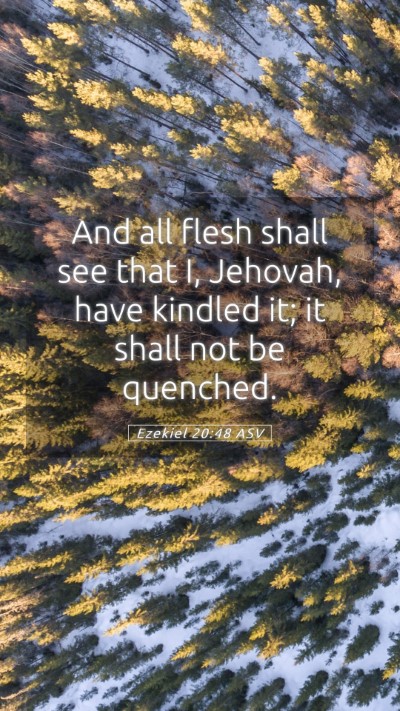 Picture 05 - Ezekiel 20:48 ASV Mobile Phone Wallpaper - And all flesh shall see that I, Jehovah, have - Mobile Bible Verse Wallpaper