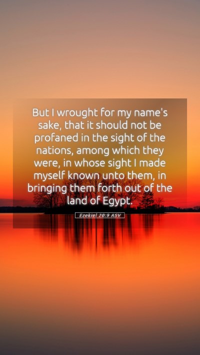 Picture 05 - Ezekiel 20:9 ASV Mobile Phone Wallpaper - But I wrought for my name's sake, that it should - Mobile Bible Verse Wallpaper