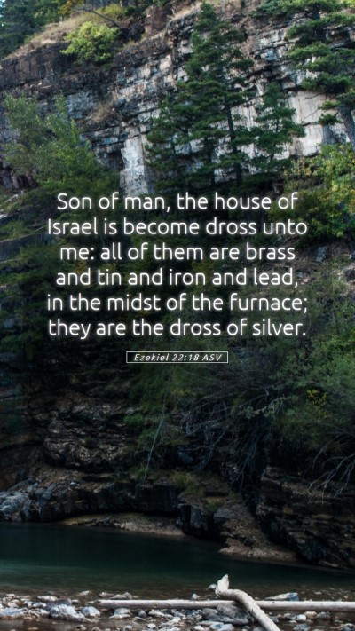 Picture 05 - Ezekiel 22:18 ASV Mobile Phone Wallpaper - Son of man, the house of Israel is become dross - Mobile Bible Verse Wallpaper