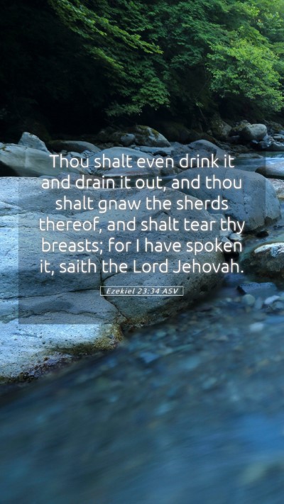 Picture 05 - Ezekiel 23:34 ASV Mobile Phone Wallpaper - Thou shalt even drink it and drain it out, and - Mobile Bible Verse Wallpaper