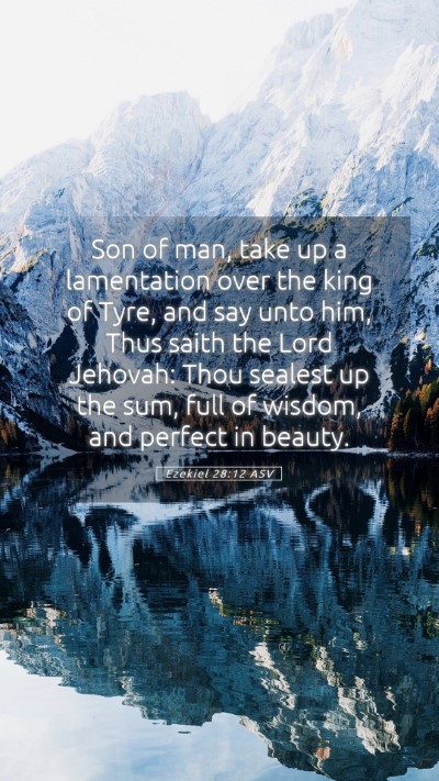 Picture 05 - Ezekiel 28:12 ASV Mobile Phone Wallpaper - Son of man, take up a lamentation over the king - Mobile Bible Verse Wallpaper